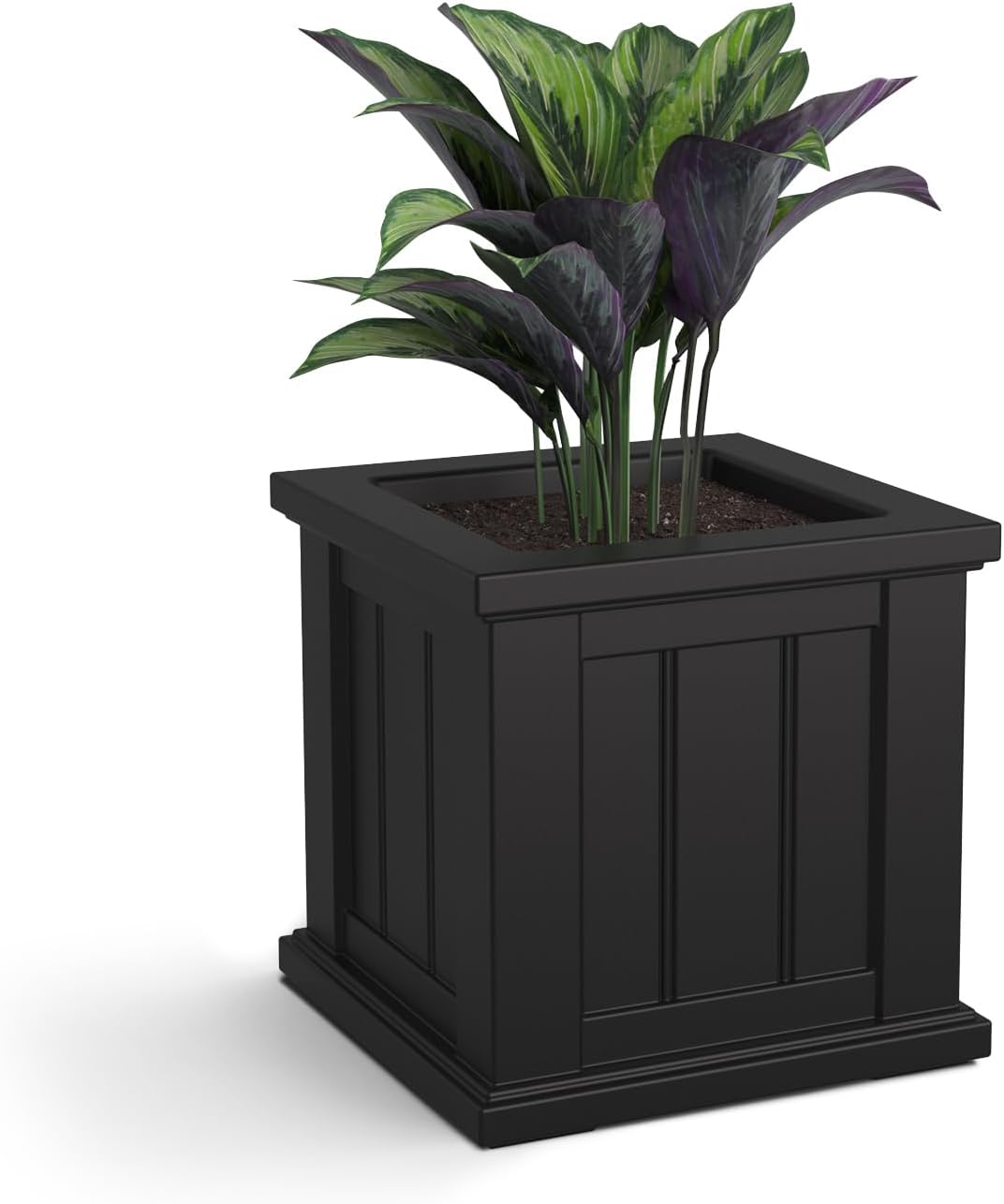 Mayne Cape Cod 14-Inch Square Planter – Self-Watering, Weather-Resistant Planter for Flowers – Durable Outdoor Design for Patio, Porch, or Entryway