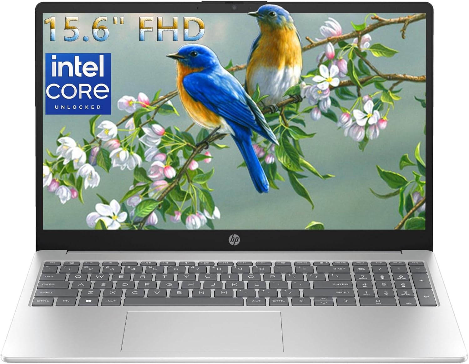HP Notebook 15.6 FHD Laptop Computer with Microsoft Office 365, 16GB DDR4 RAM, 512GB SSD, Intel 4-Core N100 CPU, 2026 Edition, Numeric Keypad, Copilot AI, Windows 11 Home, Silver, 500GB External HDD
